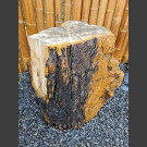 versteinertes Holz schwarz 66cm hoch