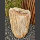versteinertes Holz 56cm