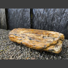 versteinertes Holz 19cm
