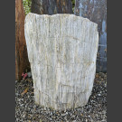 versteinertes Holz 64cm