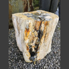 versteinertes Holz 35cm