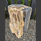 versteinertes Holz 36cm