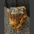 versteinertes Holz teils poliert 48cm