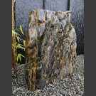 versteinertes Holz poliert 74cm