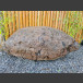 rote Lava Linse 530kg