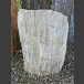 versteinertes Holz 64cm