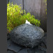 Basalt Kugel Quellstein 45cm