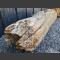 versteinerter Baumstamm 225cm, 730kg
