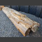 versteinerter Baumstamm 225cm, 730kg