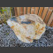 versteinertes Holz 110kg
