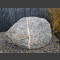 Nordischer Granit Findling 580kg