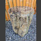 versteinerter Holz Hocker poliert 58,4kg