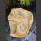 Bachlaufkaskaden Quellstein Set geschliffener Onyx 
