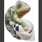 Chameleon by Soeren Ernst