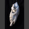 Eselsschädel Marmor Skulptur Steff Bauer 2