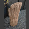 versteinertes Holz  63cm