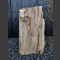 versteinertes Holz  64cm