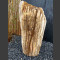 versteinertes Holz  62cm