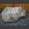Nordischer Granit Findling 40cm