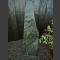 Serpentinit Naturstein Monolith 152cm hoch
