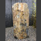 versteinertes Holz poliert 90cm