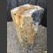 versteinertes Holz poliert 90cm
