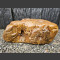 versteinertes Holz 29cm