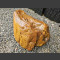 versteinertes Holz 29cm