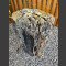 versteinertes Holz 54cm