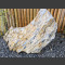 versteinertes Holz 55cm