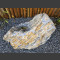 versteinertes Holz 55cm