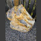 versteinertes Holz 62cm