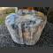 versteinertes Holz 42cm