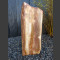 versteinertes Holz  poliert 62cm