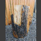 versteinertes Holz schwarz 66cm hoch