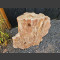 versteinertes Holz 134kg