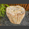 versteinertes Holz 56cm
