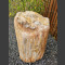 versteinertes Holz 56cm