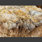 versteinertes Holz 56cm