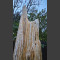 Monolith versteinerter Baumstamm 267cm hoch
