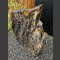 versteinertes Holz poliert 74cm