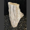 versteinertes Holz 78cm