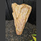 versteinertes Holz 103cm