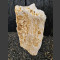 versteinertes Holz 73cm