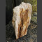 versteinertes Holz 73cm