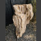 versteinertes Holz 82cm