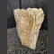 versteinertes Holz 67cm