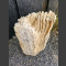 versteinertes Holz 67cm