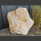 versteinertes Holz 69cm