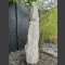 versteinertes Holz 154cm